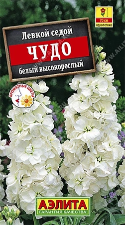 Левкой высокорослый Чудо белый, 0,1 г Левкой высокорослый Чудо белый, 0,1 г