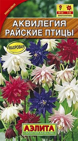 Аквилегия Райские птицы, смесь 0,2 г