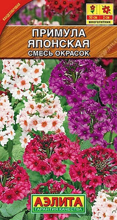 Примула японская, смесь окрасок 20 шт