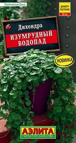 Дихондра Изумрудный водопад, 3 шт (АЭЛИТА) Дихондра Изумрудный водопад, 3 шт (АЭЛИТА)
