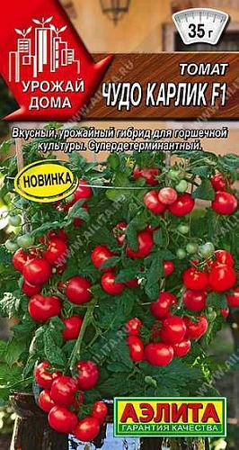 Томат Чудо карлик F1, 10 шт (Аэлита) Томат Чудо карлик F1, 10 шт (Аэлита)