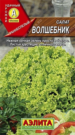 Салат полукочанный Волшебник 0,5 г (АЭЛИТА) Салат полукочанный Волшебник 0,5 г (АЭЛИТА)