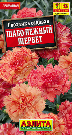 Гвоздика садовая Шабо Нежный щербет, 0,05 г (Аэлита)