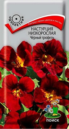 Настурция Черный трюфель низкорослая однолетник, 1 г (Поиск)