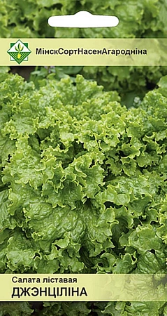 Салат Джентилина листовой, 0,8 г (МССО)