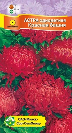Астра однолетняя Красная башня, 0,3 г (МССО) Астра однолетняя Красная башня, 0,3 г (МССО)