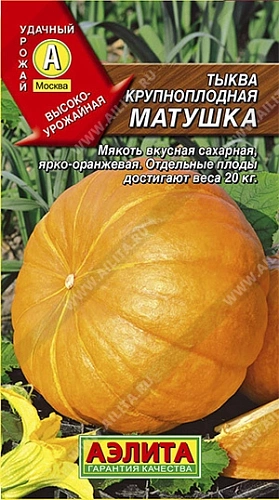 Тыква крупноплодная Матушка, 1 г Тыква крупноплодная Матушка, 1 г