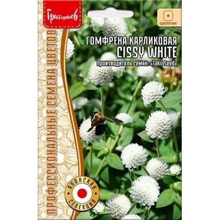 Гомфрена шаровидная Cissy White компактная однолетник, 4 шт (Ред.Сем)