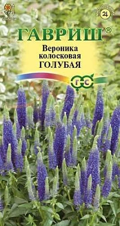 Вероника Голубая многолетник, 0,02 г (Гавриш)