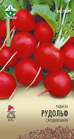 Редис Рудольф, 1 г (Эксперт) (МССО)