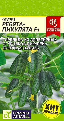 Огурец Ребята-Пикулята F1, 5 шт (Сем Алт) Огурец Ребята-Пикулята F1, 5 шт (Сем Алт)