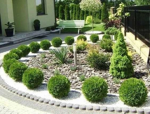 Туя Даника (Danica) шаровидная С3 20-25 см Туя Даника (Danica) шаровидная С3 20-25 см