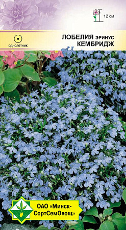 Лобелия эринус Кембридж 0,05 г (МССО) Лобелия эринус Кембридж 0,05 г (МССО)
