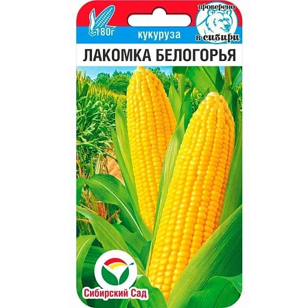 Кукуруза Лакомка Белогорья, 6 шт (Сиб Сад)