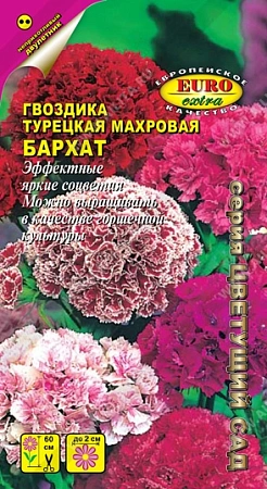 Гвоздика турецкая Бархат 0,3 г (АЭЛИТА)
