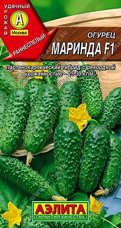 Огурец Маринда F1 10 шт (АЭЛИТА) Огурец Маринда F1 10 шт (АЭЛИТА)