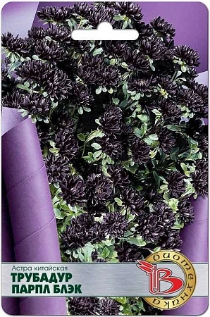 Астра китайская Трубадур Парп Блэк, 20 шт (Биотехника) Астра китайская Трубадур Парп Блэк, 20 шт (Биотехника)