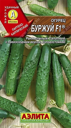 Огурец Буржуй F1, 10 шт (АЭЛИТА)