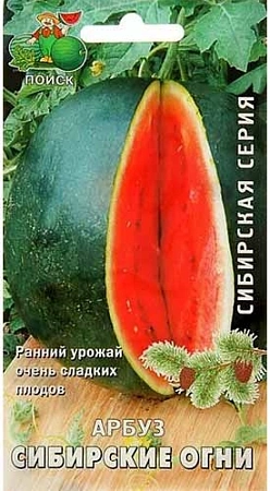 Арбуз Сибирские огни, 15 шт (Поиск)