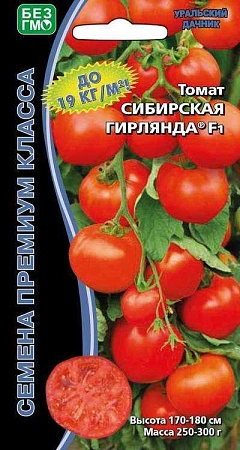 Томат Сибирская гирлянда F1, 10 шт (УД)