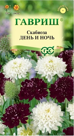 Скабиоза День и ночь 0,2 г (ГАВРИШ) Скабиоза День и ночь 0,2 г (ГАВРИШ)