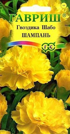 Гвоздика шабо Шампань 0,1 г Гвоздика шабо Шампань 0,1 г