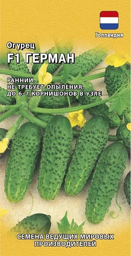 Огурец Герман F1, 5 шт (Голландия) Огурец Герман F1, 5 шт (Голландия)