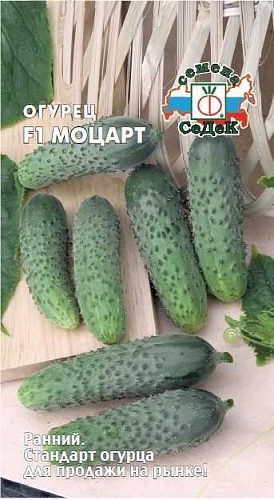 Огурец Моцарт F1, 8 шт (СеДек) Огурец Моцарт F1, 8 шт (СеДек)