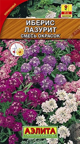 Иберис Лазурит 0,1 г (АЭЛИТА) Иберис Лазурит 0,1 г (АЭЛИТА)