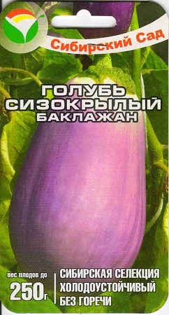 Баклажан Голубь сизокрылый, 20 шт