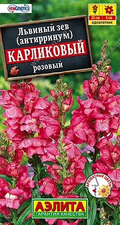 Львиный зев Карликовый розовый, 10 шт