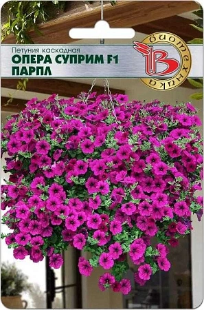 Петуния каскадная Опера Суприм F1 Парпл, 5 шт (Биотехника)