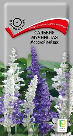 Сальвия мучнистая Морской пейзаж, 4 шт (Поиск)