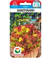 Салат Анапчанин 0,5гр (Сиб Сад) Салат Анапчанин 0,5гр (Сиб Сад)