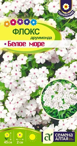 Флокс Белое Море друммонда 0,1 г Флокс Белое Море друммонда 0,1 г