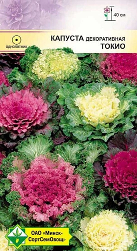 Капуста декоративная Токио, смесь 0,2 г (МССО) Капуста декоративная Токио, смесь 0,2 г (МССО)