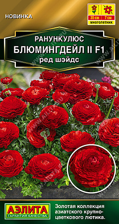 Ранункулюс Блюмингдейл II F1 ред шэйдс, 3 шт (Аэлита)