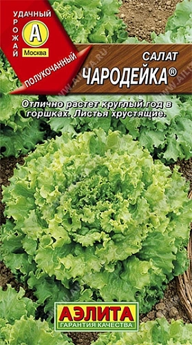 Салат полукочанный Чародейка 0,5 г Салат полукочанный Чародейка 0,5 г