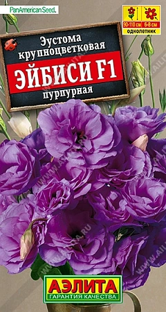 Эустома Эйбиси F1 пурпурная крупноцветковая, 5 шт