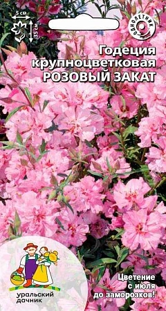 Годеция Розовый Закат крупноцветковая (УД)