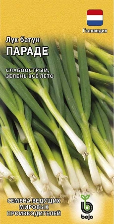 Лук батун Параде 0,2 г на зелень (ГАВРИШ) Лук батун Параде 0,2 г на зелень (ГАВРИШ)