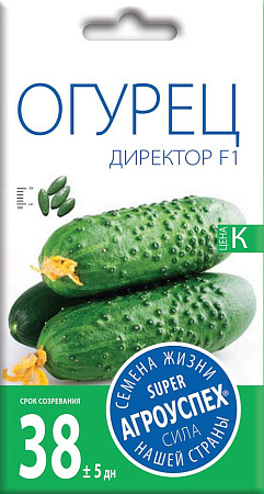 Огурец Директор F1, 7 шт (Агроуспех)