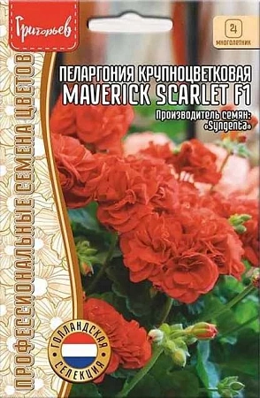 Пеларгония Маверик Скарлет F1 грандифлора, 3 шт (Ред.сем)