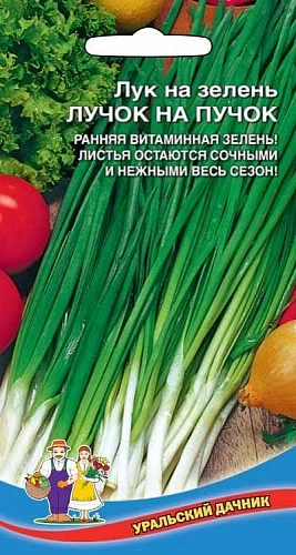 Лук на зелень Лучок на пучок 0,5 г (УД) Лук на зелень Лучок на пучок 0,5 г (УД)