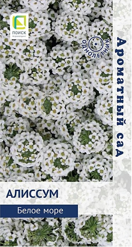 Алиссум Белое море, 0,3 г (Поиск) Алиссум Белое море, 0,3 г (Поиск)
