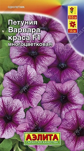 Петуния Варвара Краса F1, 10 шт Петуния Варвара Краса F1, 10 шт