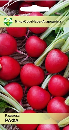 Редис Рафа, 2 г (МССО)