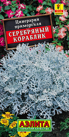 Цинерария Серебряный кораблик, 0,05 г (Аэлита) Цинерария Серебряный кораблик, 0,05 г (Аэлита)