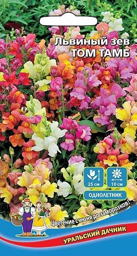Львиный зев Том Тамб 0,1 г (УД) Львиный зев Том Тамб 0,1 г (УД)