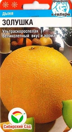 Дыня Золушка F1 7 шт